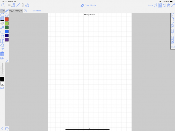 Screenshot on iPad pro showing the application called ZoomNotes