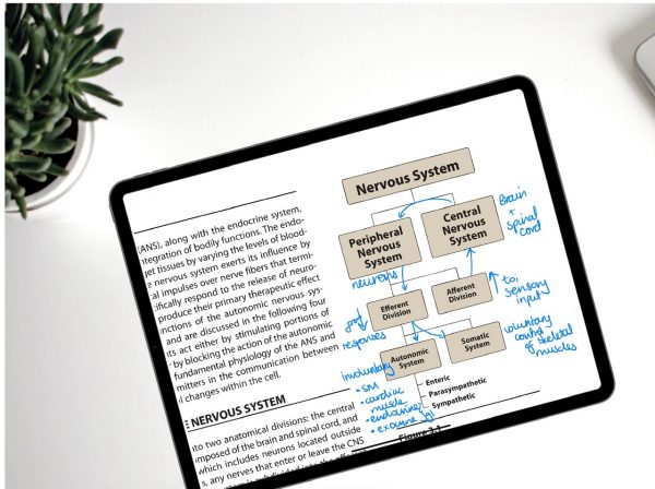 ZoomNotes for the iPad: beginner's guide | Paperless X