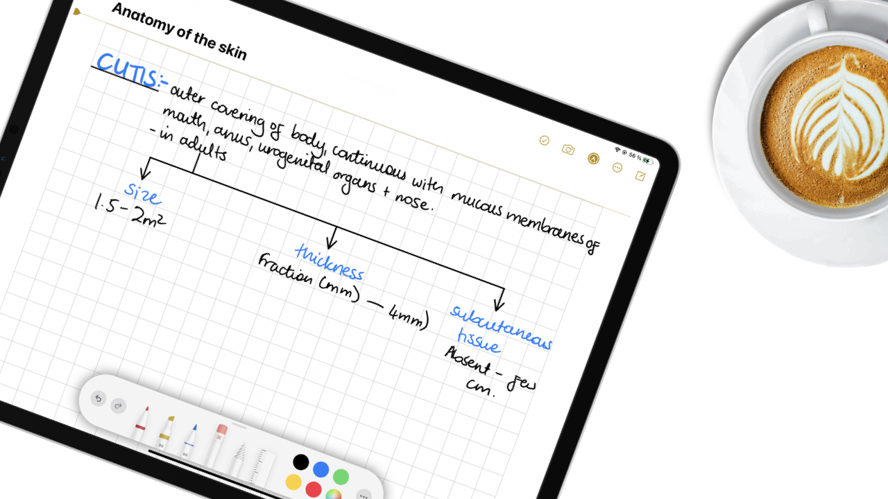 apple apps for note taking