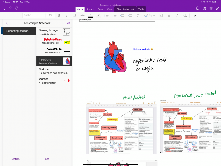 Screenshot of OneNote on the iPad pro showing some notes on the heart.