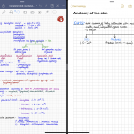 Screenshot of iPad pro showing a split view of GoodNotes and Apple Notes and some notes handwritten using the Apple Pencil