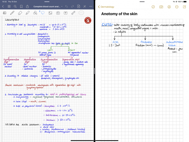 Screenshot of iPad pro showing a split view of GoodNotes and Apple Notes and some notes handwritten using the Apple Pencil