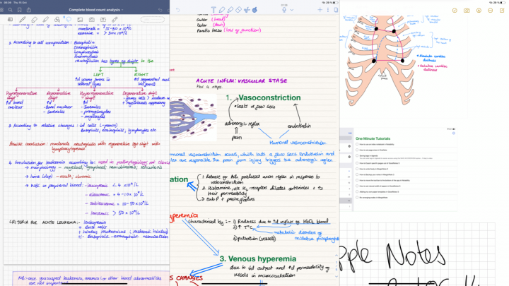 GoodNotes vs Notability vs Apple Notes