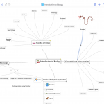 Screenshot of SimpleMind Pro taken on the iPad pro. It is one of the best mind mapping apps for the iPad.
