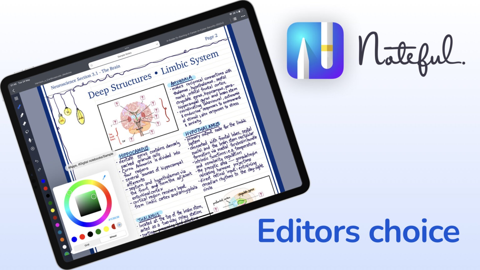 ZoomNotes for the iPad: beginner's guide | Paperless X
