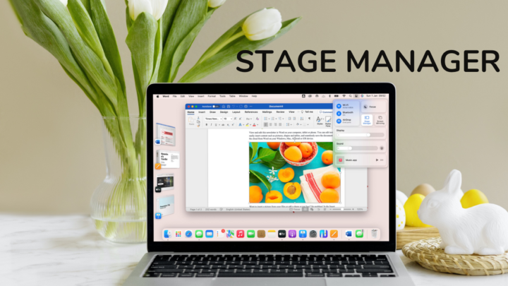 Microsoft Word on the MacBook, opened in Stage Manager