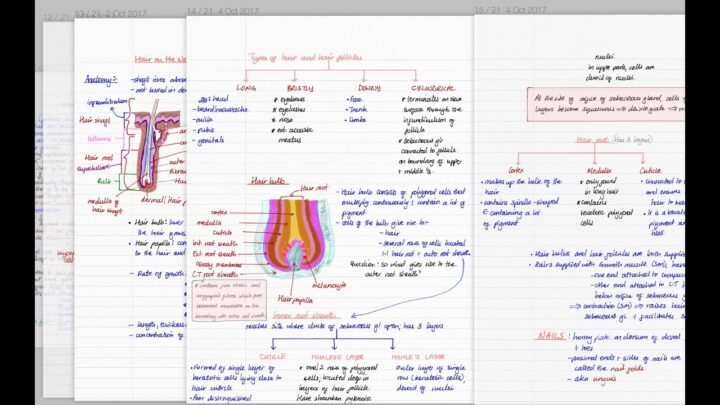 Handwritten notes written on the iPad Pro